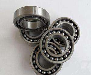 Fancy 306-2RS Bearing